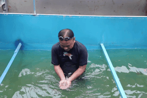 Tiến sĩ Nhật gội đầu, rửa mặt sảng khoái trên sông Tô Lịch