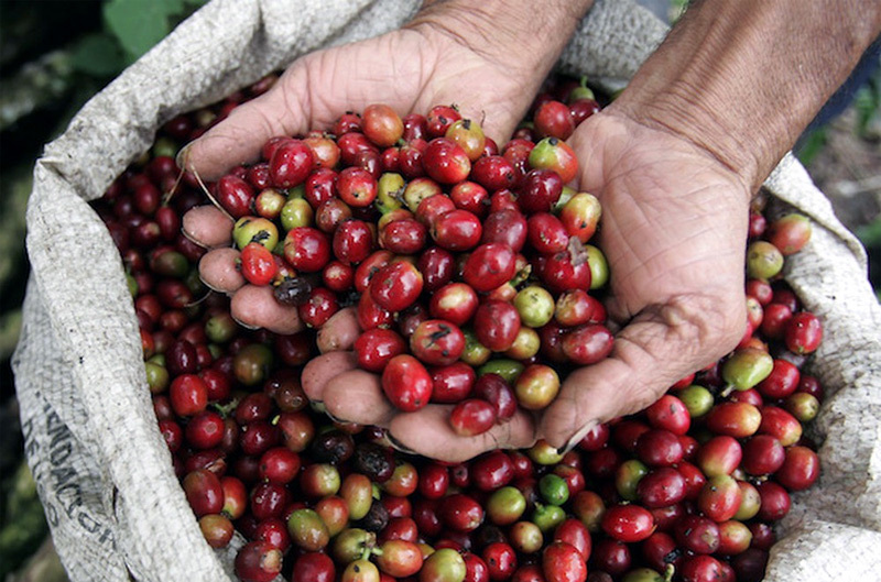 Farm produce: selling much, but making little profit