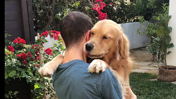 Những lợi ích về mặt sức khỏe khi nuôi chó