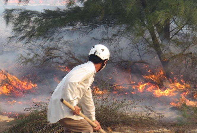 Quang Binh forest rangers quit due to low wages