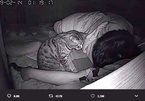 Đặt camera phòng ngủ, chàng trai phát hiện nguyên nhân khiến anh khó thở hằng đêm