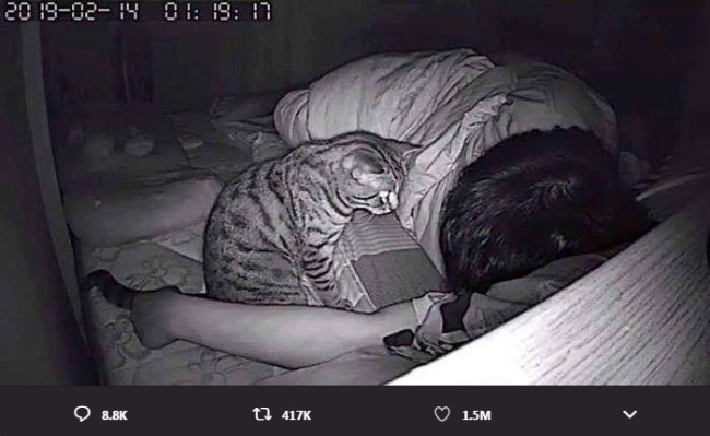 Đặt camera phòng ngủ, chàng trai phát hiện nguyên nhân khiến anh khó thở hằng đêm