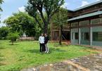 Hé lộ khuôn viên nhà vườn tại Sóc Sơn của con trai Chế Linh và bà xã hơn 4 tuổi