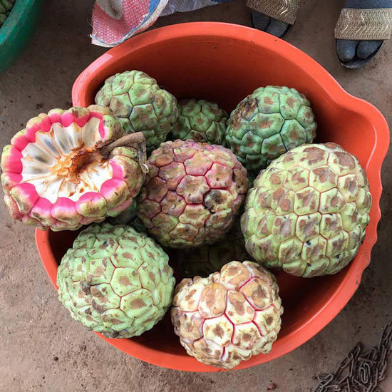 6 loại đặc sản na Việt đang 'làm mưa làm gió', cho lãi cực 'khủng'