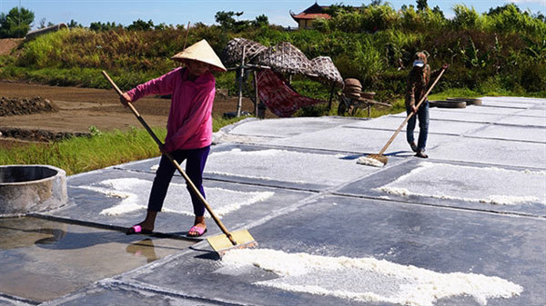 Salt workers struggle under the harsh sun