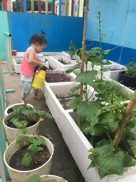 More and more schools in HCM City have green space