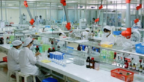 Vietnam emerges as a global pharmaceutical hub
