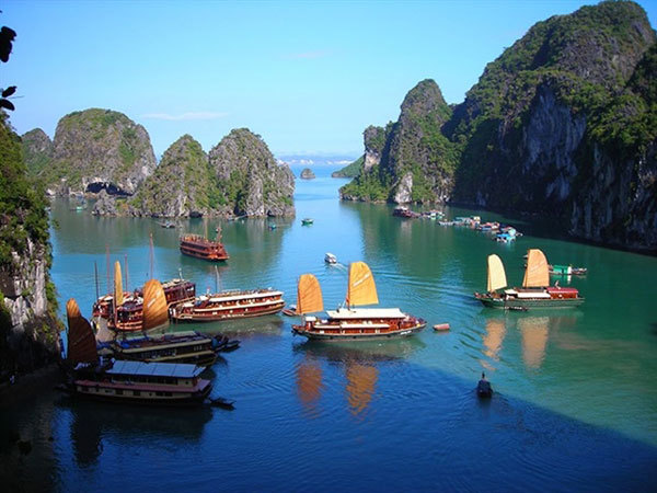 Ministry tells Quang Ninh to handle environmental violations in Ha Long Bay