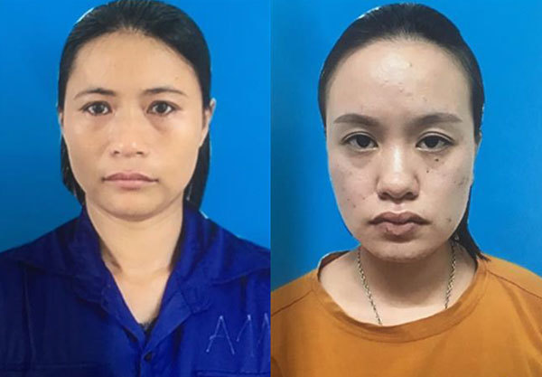 Quang Ninh: One woman arrested for illegal surrogacy