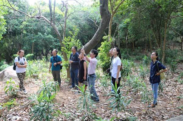 Forest school opens in Da Nang