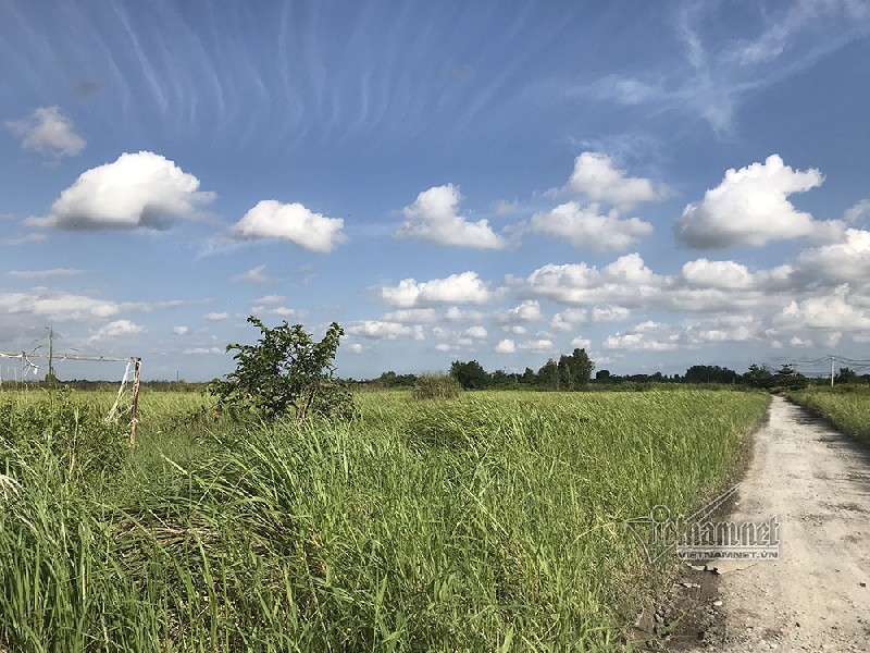 Dự án khu công nghiệp 