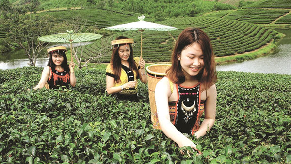 Tea islands lure tourists to central province