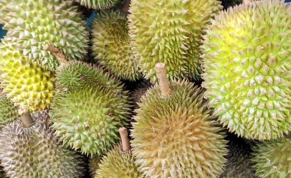 Uống rượu vang với sầu riêng, một nam giới chết không trăng chối