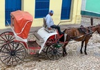 Nghe tiếng vó ngựa lóc cóc trên con đường đá cuội ở Cuba