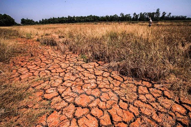 Mekong Delta may face saline intrusion months earlier than normal