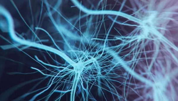 Phát hiện cơ quan mới trong… cơ thể người