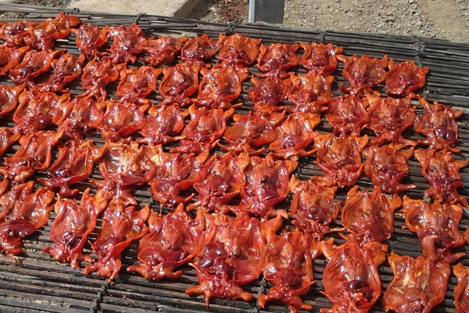 Thịt chuột nướng ngon hơn thịt già, thách thức nếm thử