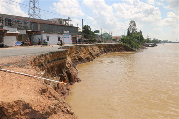 Serious erosion reported along Hau River in Mekong Delta's An Giang Province