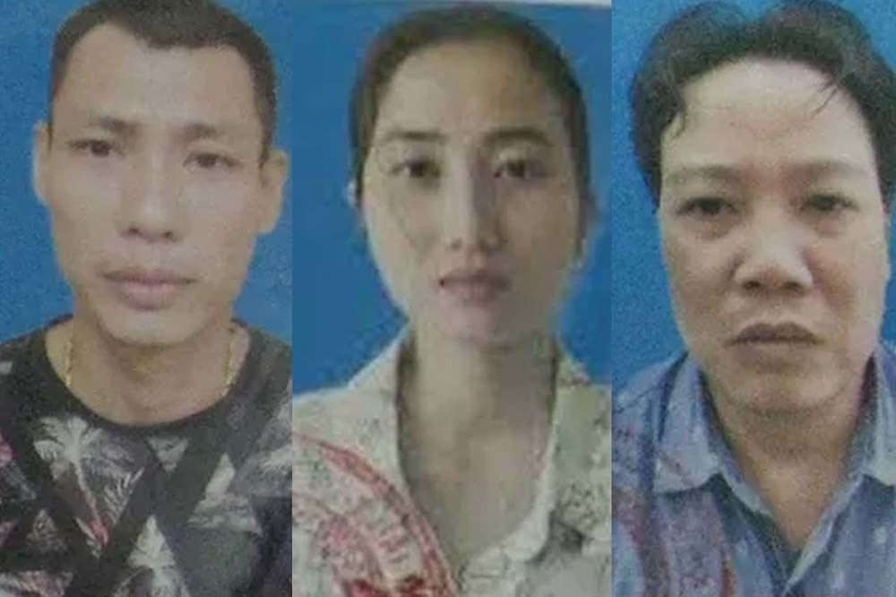 Three seized in Hanoi's commercial surrogacy case