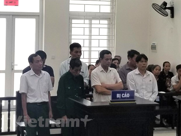 Court announces sentences for land violations in Thanh Oai District