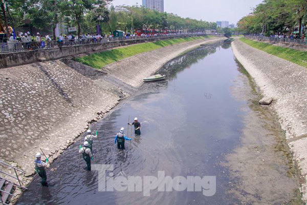 Bringing back To Lich River from the dead requires a comprehensive solution