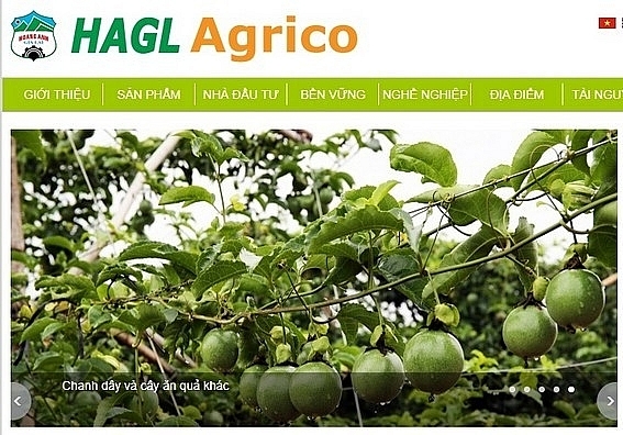 Hoang Anh Gia Lai Agrico continues selling subsidiary