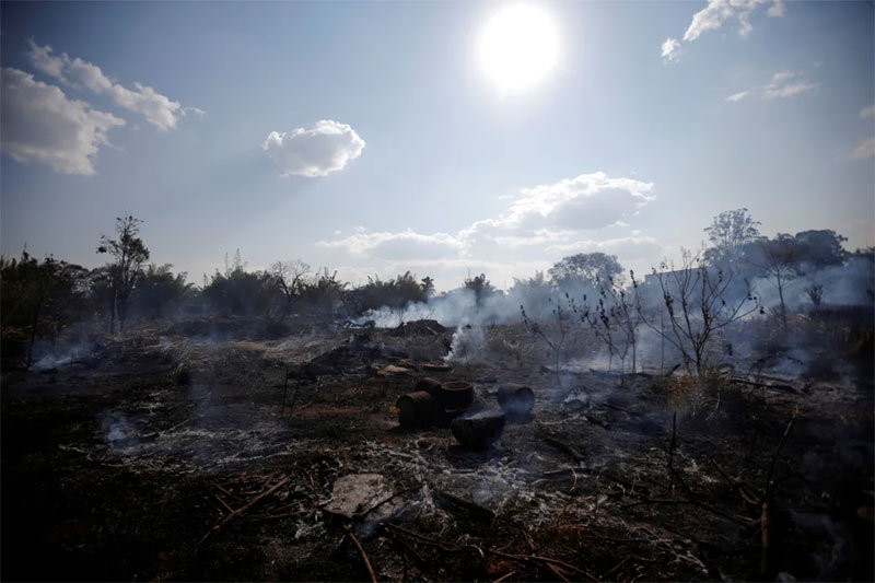 Hình ảnh Amazon cháy tang thương