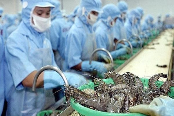 Vietnamese shrimp exporters enjoy zero taxes to US