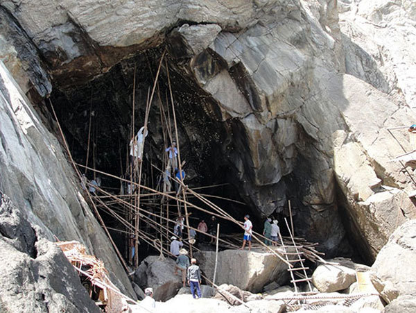 Rescue centre built in Cu Lao Cham to help fallen baby swallows