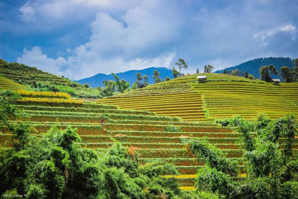 Muong Lo Festival takes place in Yen Bai