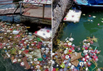 Thả 3 vạn hoa đăng nhựa xuống biển Cát Bà là để 'bảo vệ môi trường'