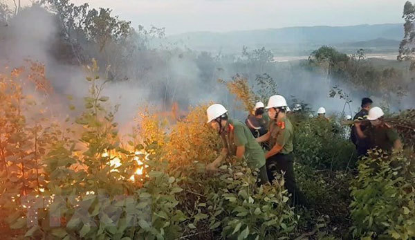 Forest fire destroys 200ha of forest in Phu Yen