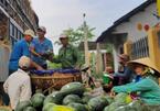 Vietnam’s veggies and fruits can no longer cross the border to enter China