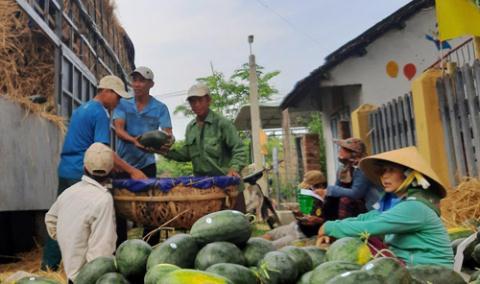 Vietnam’s veggies and fruits can no longer cross the border to enter China