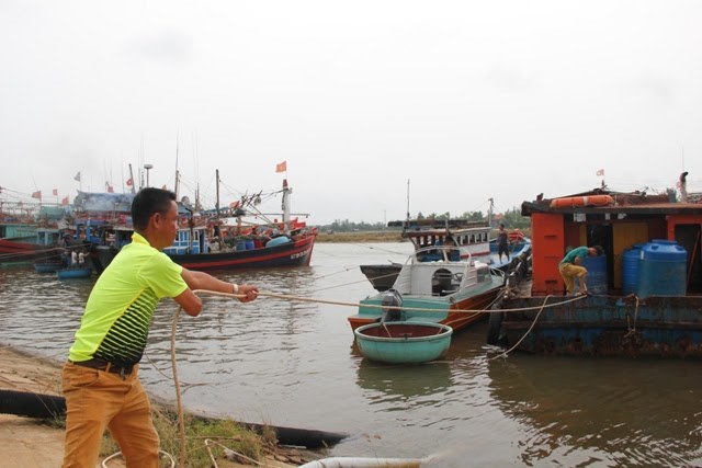 Bão vào miền Trung, 102 thuyền viên chưa thể liên lạc, dân vội gặt lúa xanh