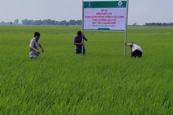 Vietnam to promote exports of organic fertilisers