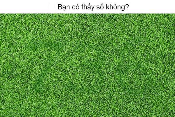 Thử tài tinh mắt, tìm con số ẩn trong bức hình