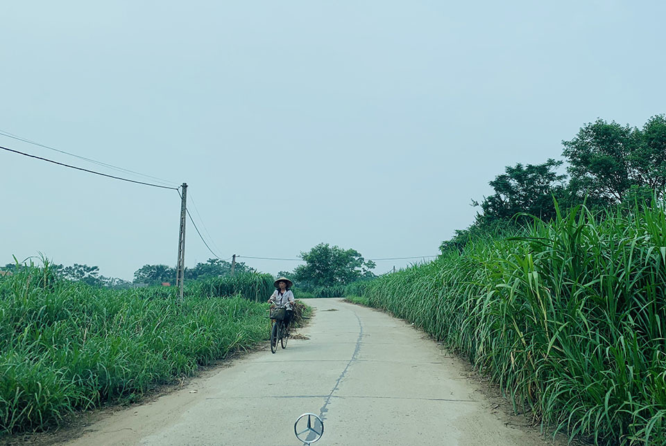 Làng 'vàng trắng' tỷ phú ven sông Hồng, 1 năm chia nhau 400 tỷ