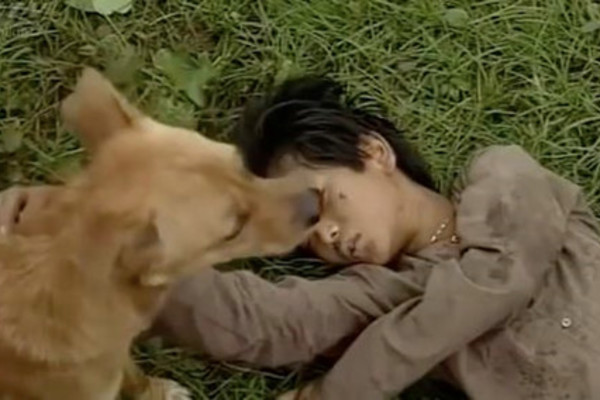 Bé An 'Đất phương Nam' và ký ức khi được chó Phèn cứu sống trong phim