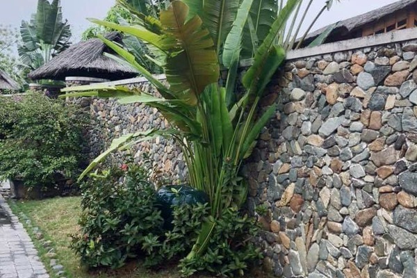 Đắn đo chuyện cưới xin khi mẹ chồng tương lai nghiện thói xấu khó bỏ