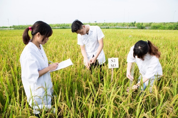 Young people in Vietnam not interested in agricultural studies