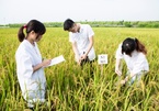 Young people in Vietnam not interested in agricultural studies