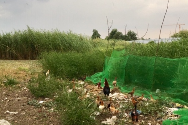 Toàn cảnh 4 dự án mà Đức Long Gia Lai đã “thoát xác” ngoạn mục