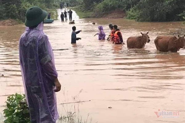 Nghe VietNamNet: Áp thấp xen áp thấp, bão chồng bão, miền Trung báo động lũ lên cao