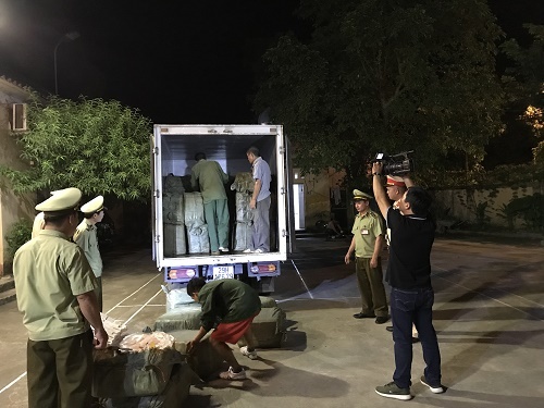 Thu gom nầm lợn không rõ nguồn gốc về các tỉnh bán cho các nhà hàng