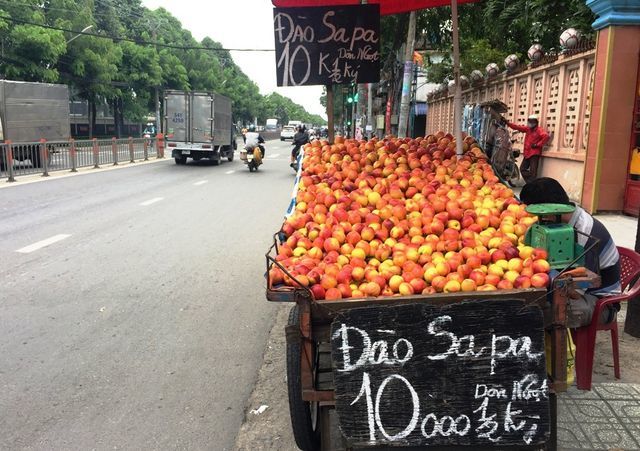 Đào, nho, mận Trung Quốc gắn mác Việt bán tràn ngập nhiều phố Sài thành
