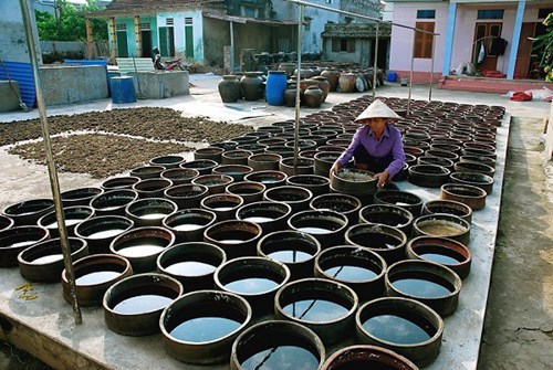 Nghề làm nước mắm Nam Ô là Di sản văn hóa phi vật thể quốc gia