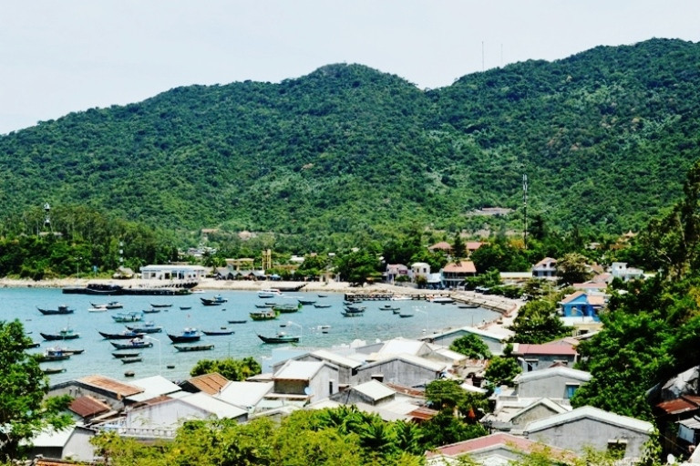 Biodiversity declining in Vietnam's central coastal areas