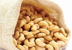 Good news for Vietnam's cashew industry