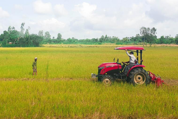 Máy kéo Yanmar YM3 thế hệ mới thu hút nông dân miền Tây